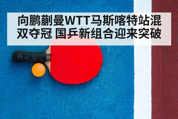 ping pong racket