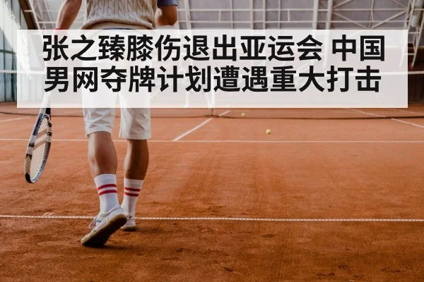 张之臻膝伤退出亚运会 中国男网夺牌计划遭遇重大打击